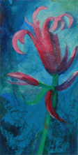 rote Orchidee
